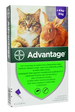 Advantage 80 10% 4x0,8ml pro kočky nad 4kg