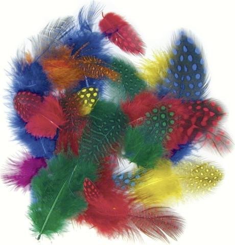 Dekorativní peříčka Guinea/mix barev - kropenatá