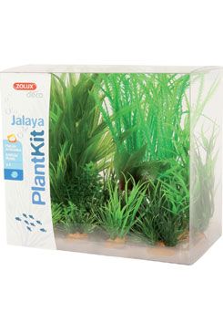 Rostliny akvarijní JALAYA 1 sada Zolux