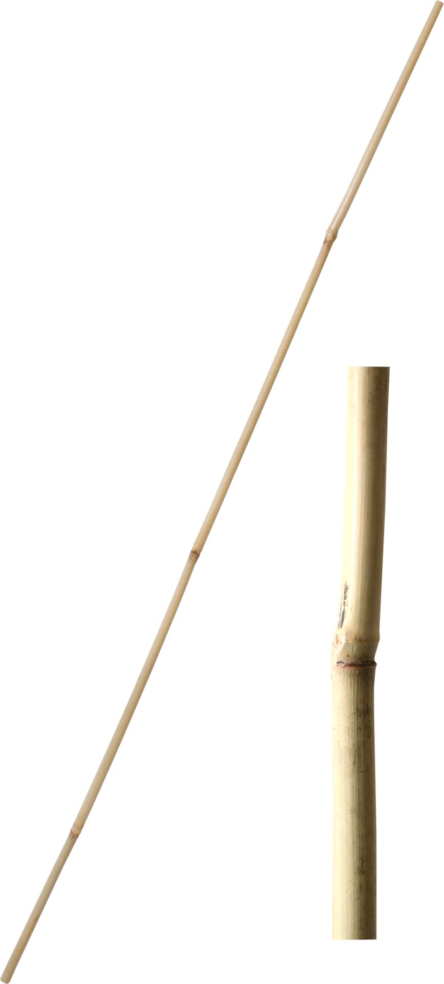 Tyč bambusová 90 cm tl. 8-10 mm - 10 ks