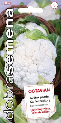 Dobrá semena Květák pozdní - Octavian 0,3g - VÝPRODEJ