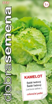 Dobrá semena Salát celoroční ledový - Kamelot 0,4g - VÝPRODEJ