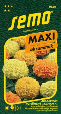 Semo Aksamitník vzpřímený - Taishan F1 15s - série Maxi - VÝPRODEJ