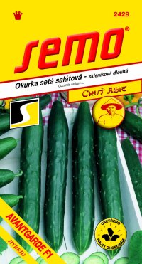 Semo Okurka salátová do skleníku - Avantgarde F1 10s - série Asie - VÝPRODEJ