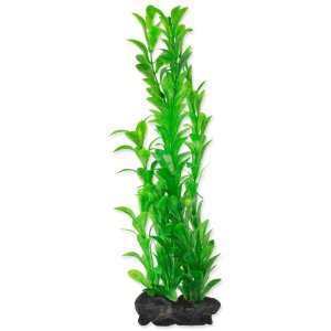 Dekorace Tetra Rostlina Hygrophila L 30cm - VÝPRODEJ