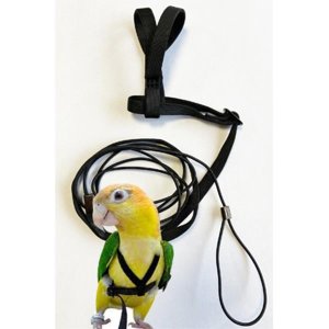 Kšandy s vodítkem pro papoušky XXS - VÝPRODEJ