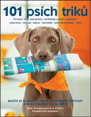 101 psích triků - Činnosti, které psa pobaví, zaměstnají a sblíží s páníčkem - VÝPRODEJ