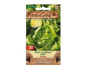Salát hlávkový raný ALAMER 66328 - VÝPRODEJ