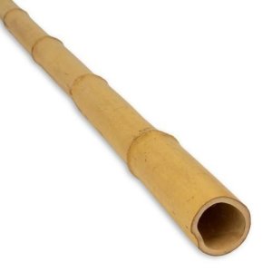 podpěra bambusová průměr 14/16mm, délka 180cm - VÝPRODEJ