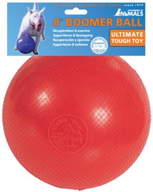 Hračka plast Míč Boomer Ball 20 cm - VÝPRODEJ